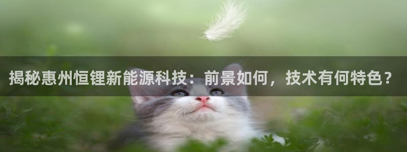sunbet申搏平台