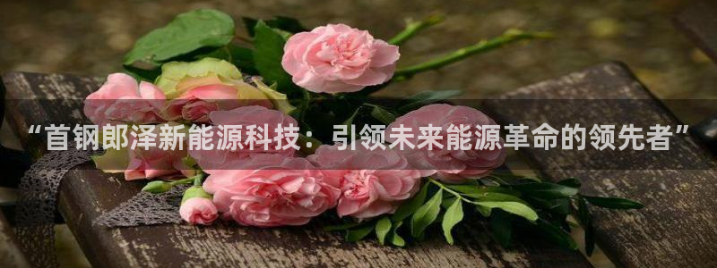 sunbet英语翻译