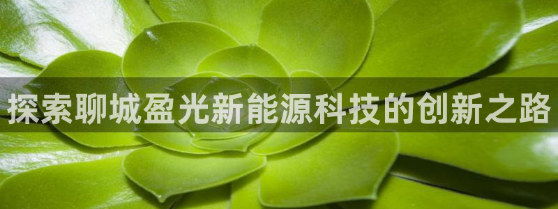 sunbet申搏官网