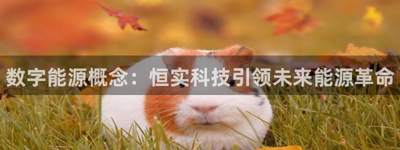sunbet游戏网
