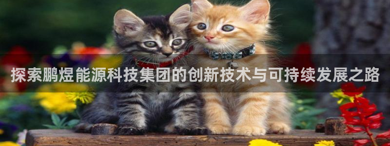 申博官方网站