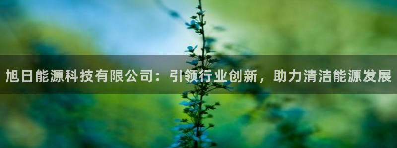 sunbet最新消息