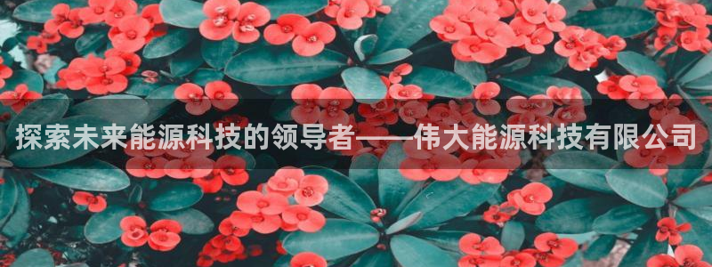 申博app下载