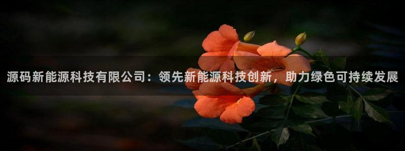 下载申搏sunbet并安装app