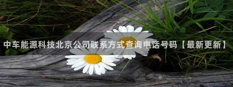 sunbet燃气灶