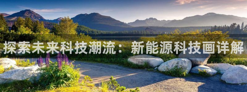 申博官网手机客户端