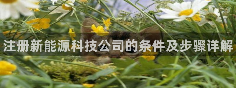 sunbet中国官网