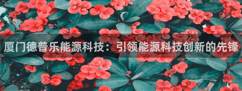 申博app下载