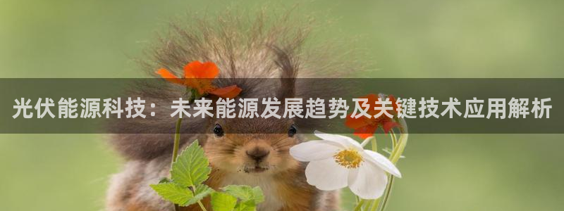 申慱sunbet网站