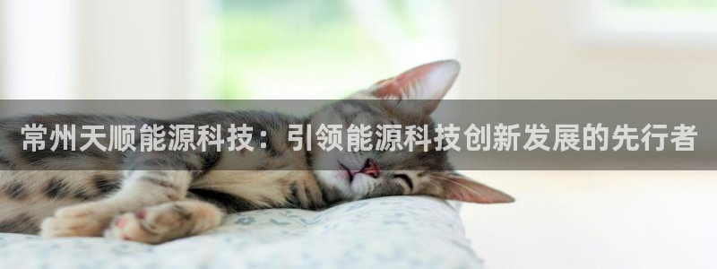 sunbet官网开户登录手机版