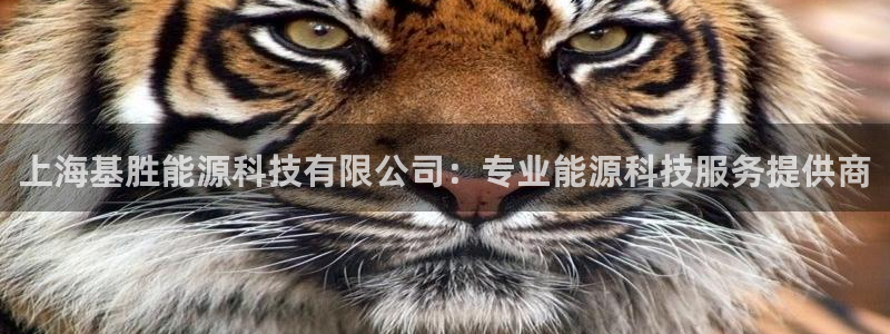 sunbet游戏最新版
