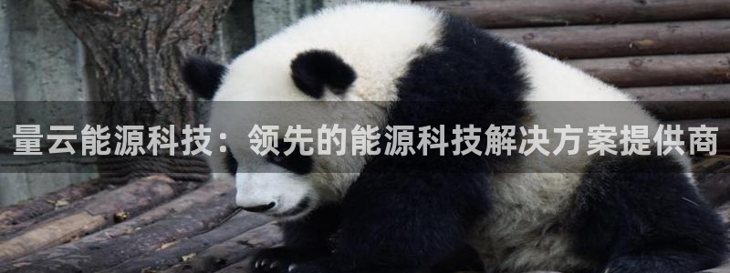 sunbet官网登录首页