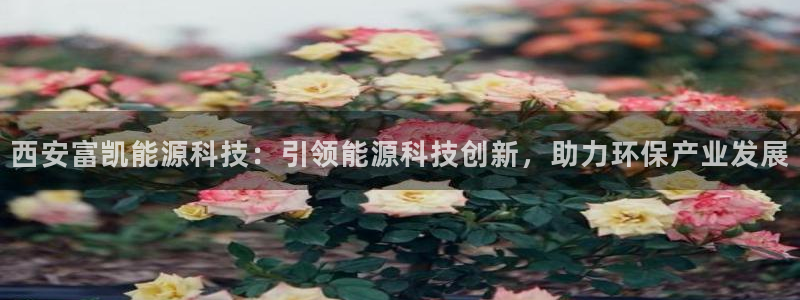 sunbet苹果官网下载