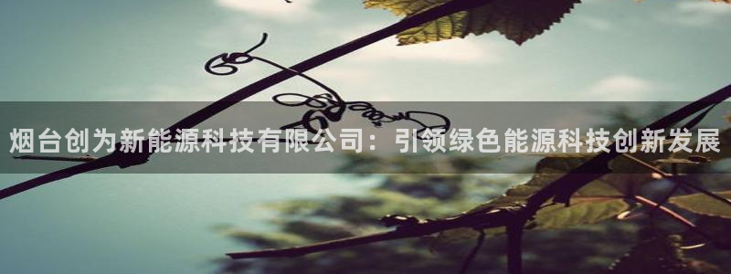 sunbet官网开户登录手机版