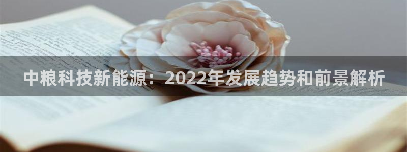 sunbet游戏地址