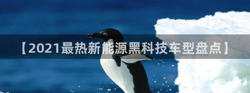 sunbet申搏官网