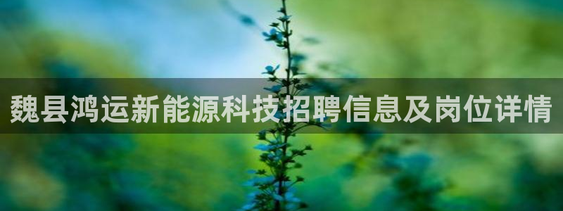 申博app下载