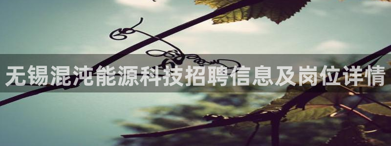 sunbet首页登录入口