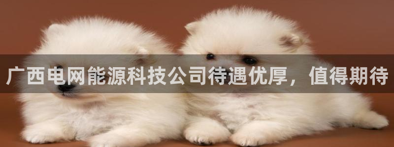 申慱sunbet网站