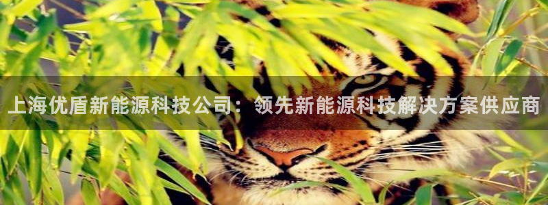 sunbet中国官网