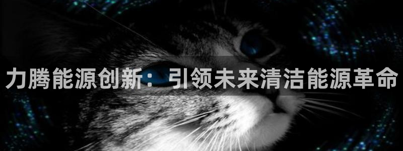 sunbet申搏官方网站