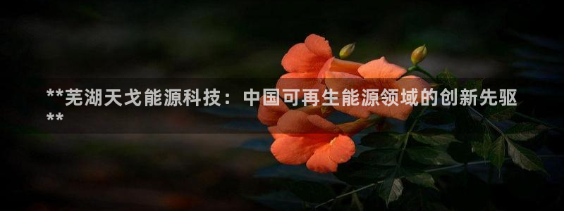 申慱sunbet网站