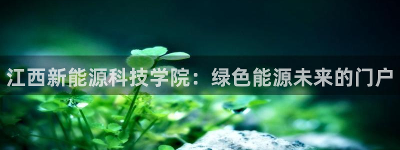sunbet手机网页版下载