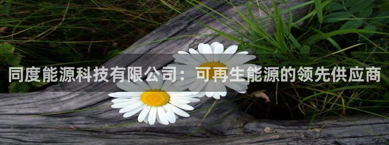 sunbet手机版登录
