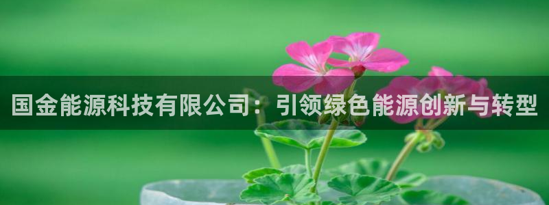 sunbething怎么读