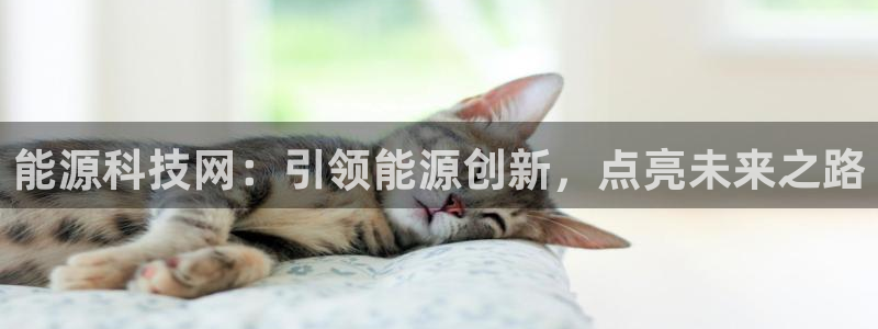 sunbet中文