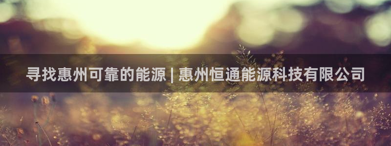 sunbet最新消息