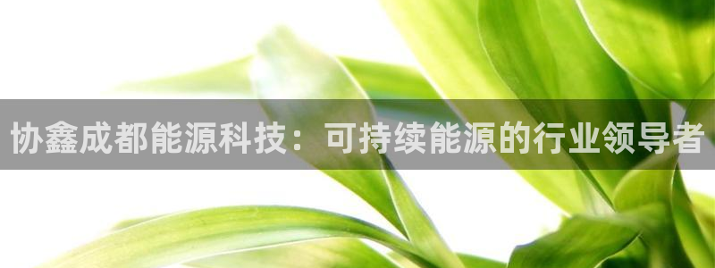 sunbet线上真人手机版