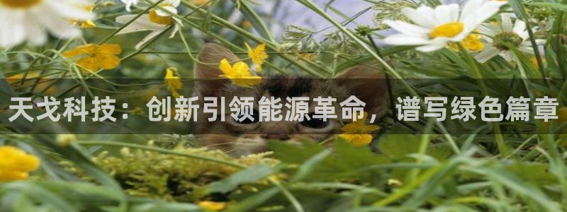 申博官网电脑版下载