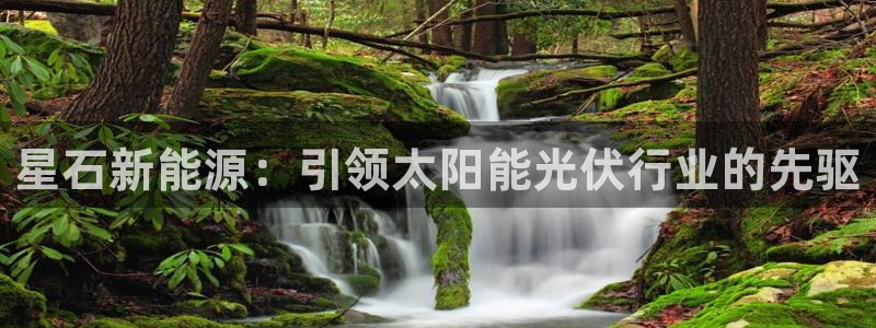 sunbet官网手机版登录
