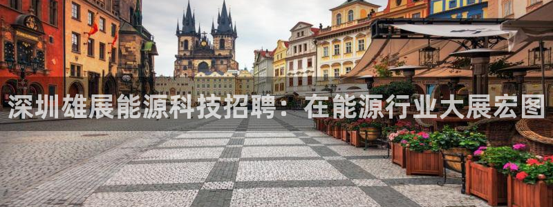 申博官网电脑版下载