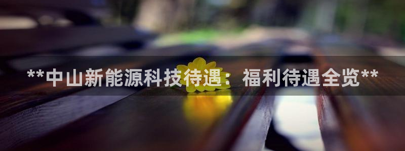 sunbet程序