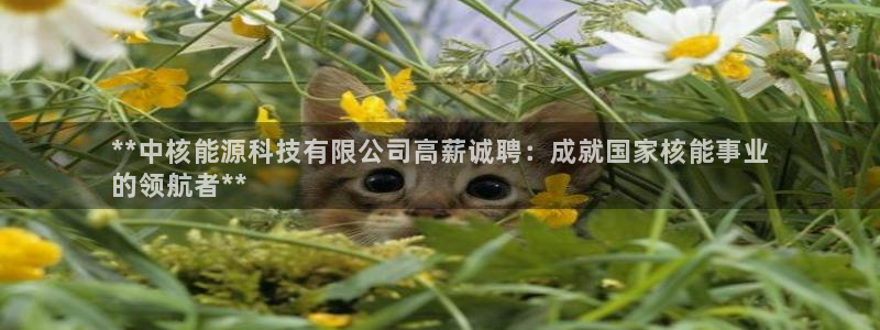 申博手机网址