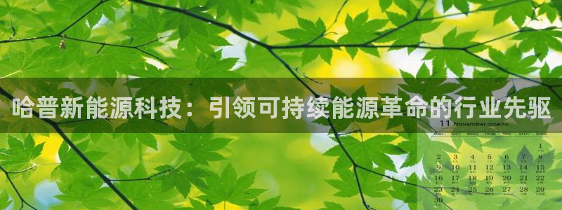 sunbet官网手机版