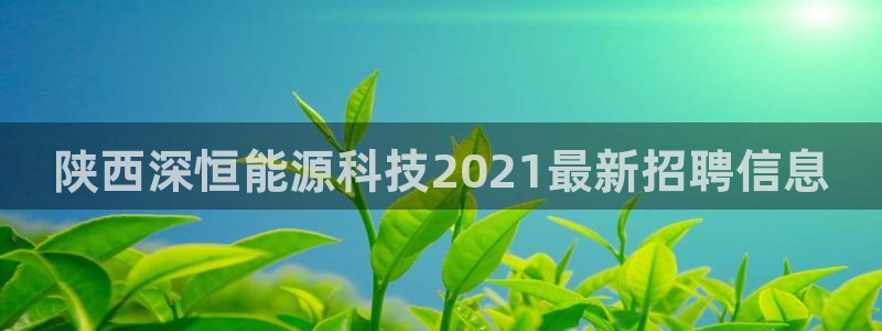 申博手机版官网