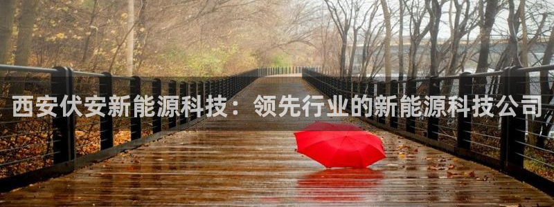 进入sunbet官网手机版登陆