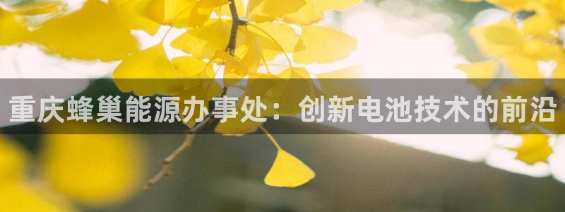 sunbet中文