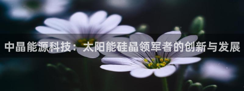 sunbet手机网页版本