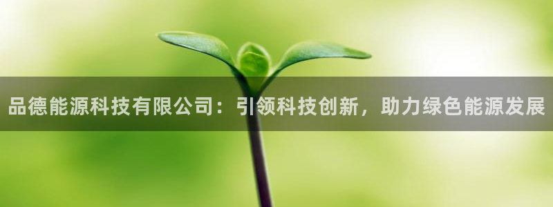 sunbet英语翻译