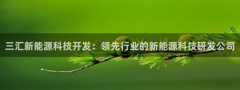 sunbet中文