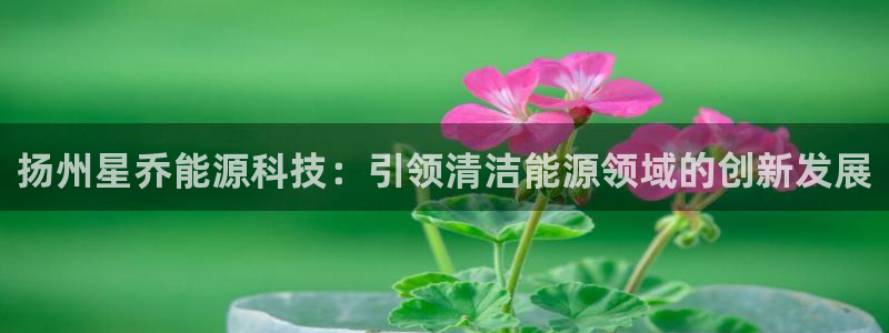 sunbet线上真人手机版