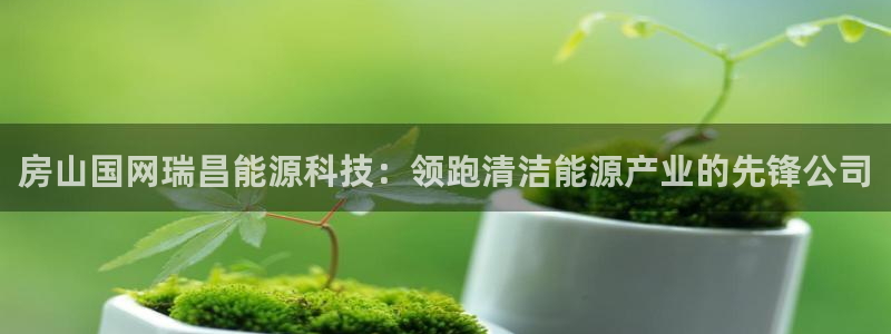 sunbet源码