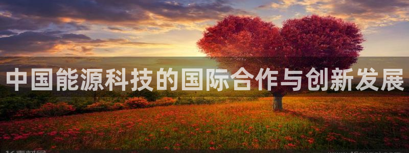 sunbet手机网页版下载