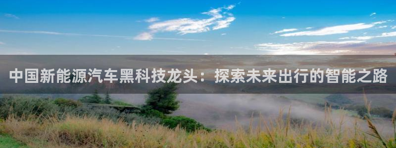 申博手机版官网