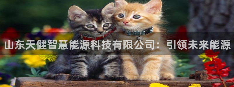 sunbet申搏官方网站