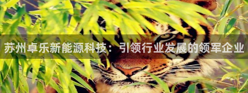 sunbet中国官网
